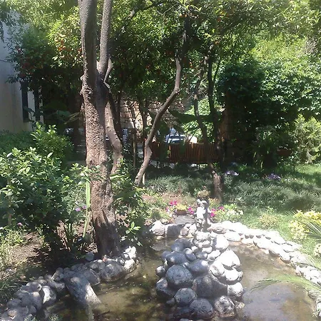 The Ninova Hotel 3*