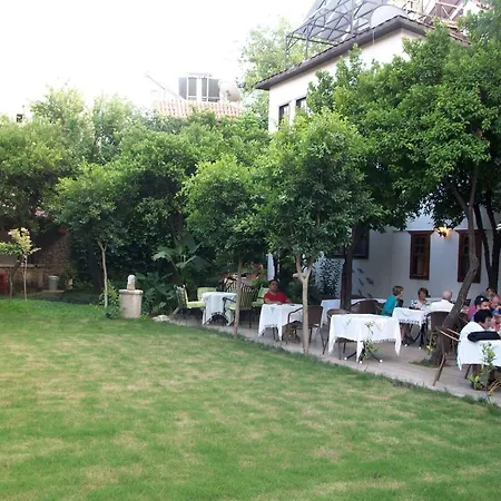 Hotell The Ninova