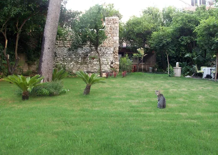 The Ninova Antalya