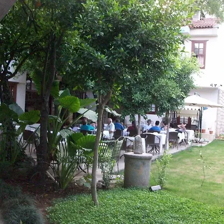 The Ninova 3*